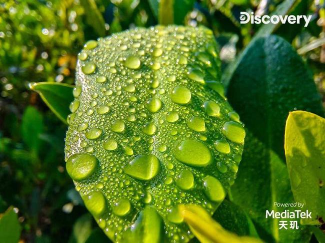 1682664831840393.jpg aeb69904f77503e89a0d1cfaab5ccd9c_6444f6078e9f092e8250480f_1024.jpg